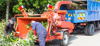 tree service in Joliet